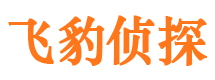 梅江市私家侦探